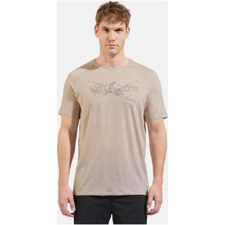 Koszulka z krótkim rękawem męska ODLO Ascent PW 130 Run. Bike. Hike. T-Shirt Crew Neck s/s szara