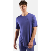 Koszulka męska Odlo BL TOP crew neck s/s MERINO 160 niebieska