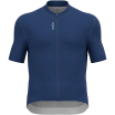 Koszulka z krótkim rękawem kolarska męska ODLO Zeroweight Chill-Tec T-shirt S/U Collar s/s full zip niebieska